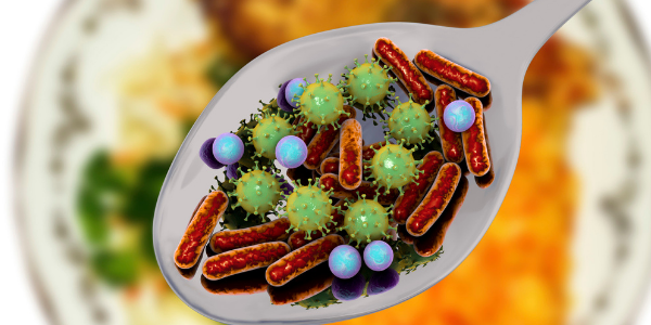 bacteria in food 